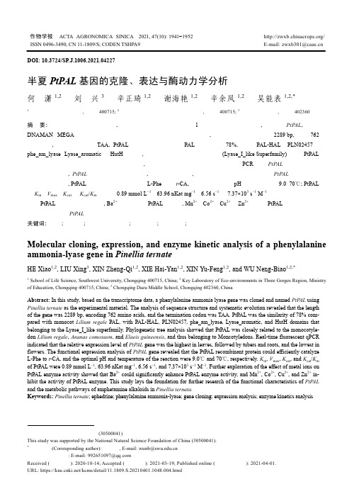 半夏PtPAL基因的克隆、表达与酶动力学分析