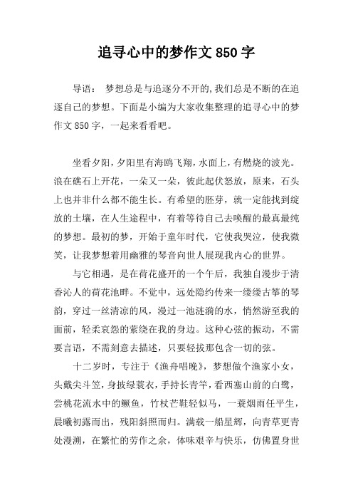 追寻心中的梦作文850字