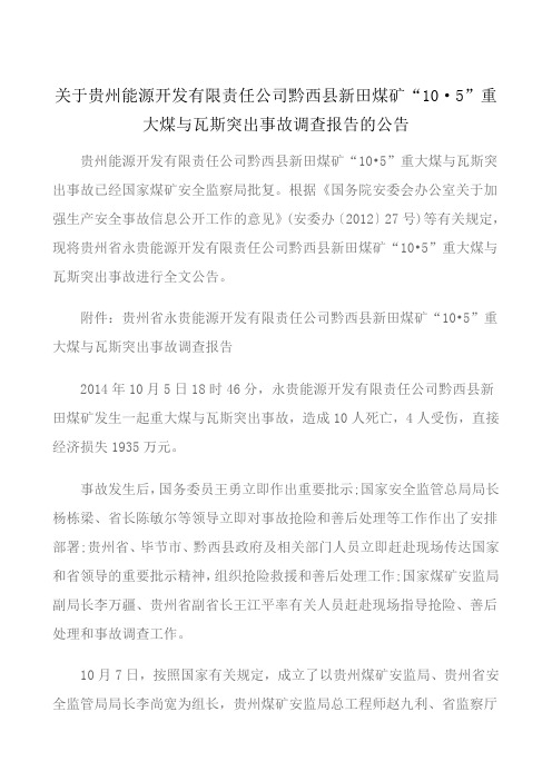 关于贵州能源开发有限责任公司黔西县新田煤矿