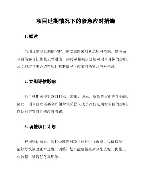 项目延期情况下的紧急应对措施