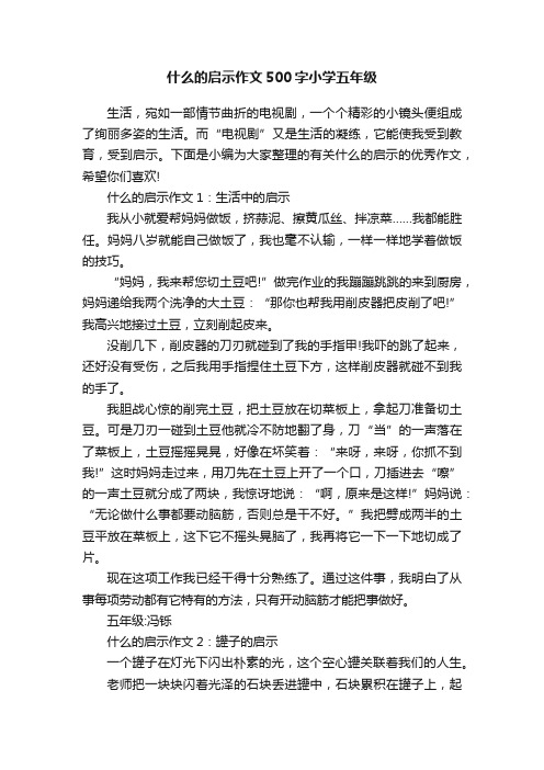 什么的启示作文500字小学五年级