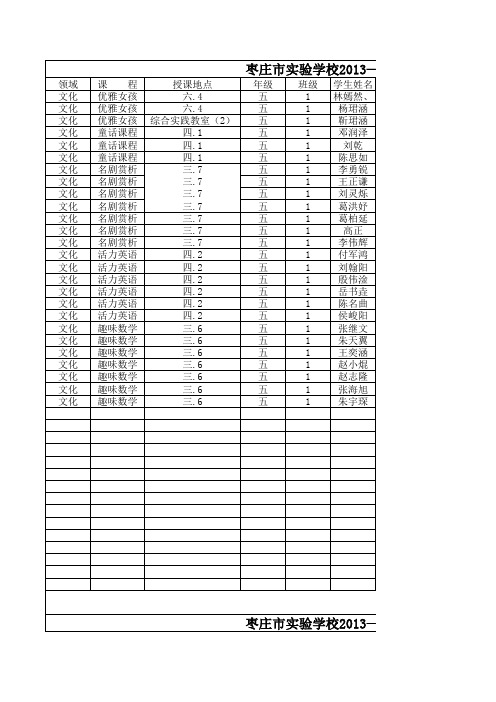 5.5校本班主任(统计模板)