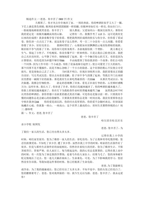 —爸爸,你辛苦了(900字)作文