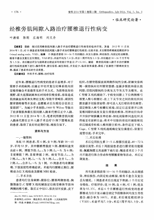 经椎旁肌间隙入路治疗腰椎退行性病变