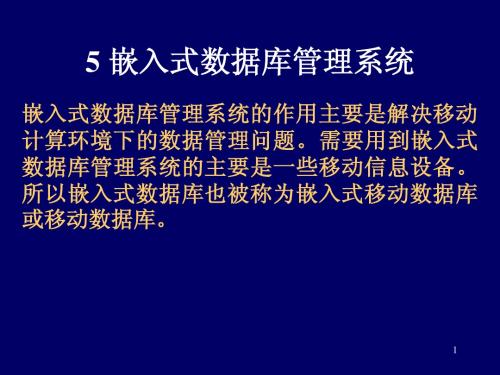 嵌入式数据库管理系统1