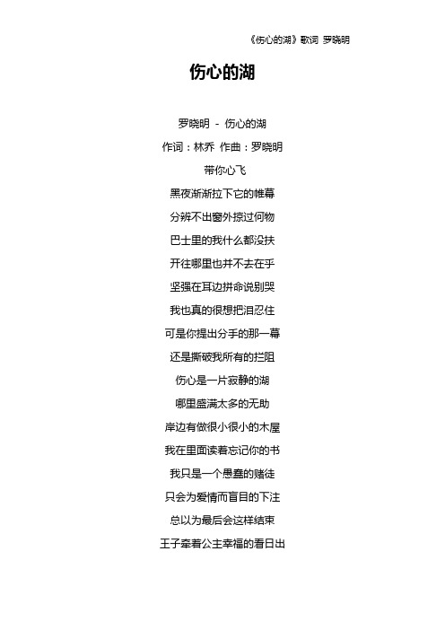 《伤心的湖》歌词 罗晓明