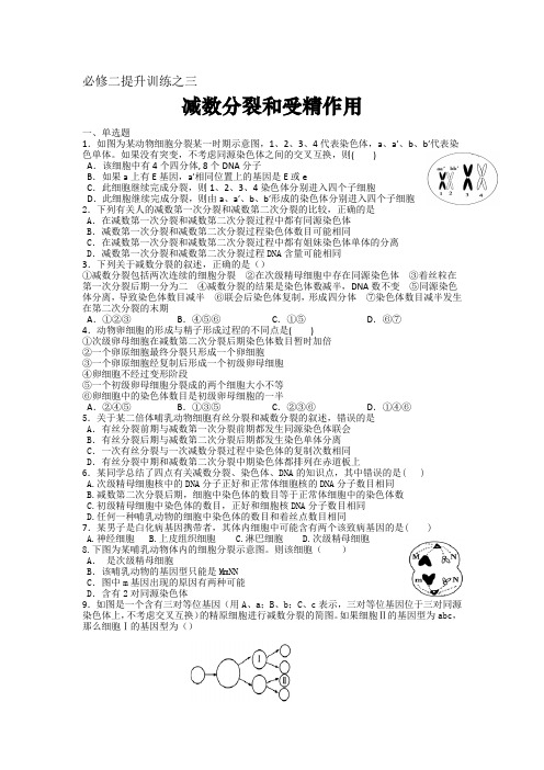 高中生物必修二提升训练之三:减数分裂和受精作用