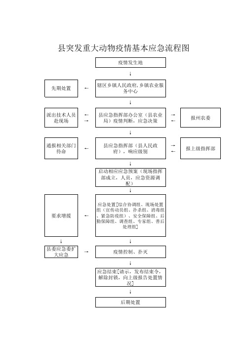 县突发重大动物疫情基本应急流程图