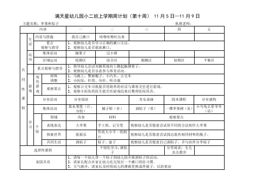 幼儿园小班上学期周计划第十周