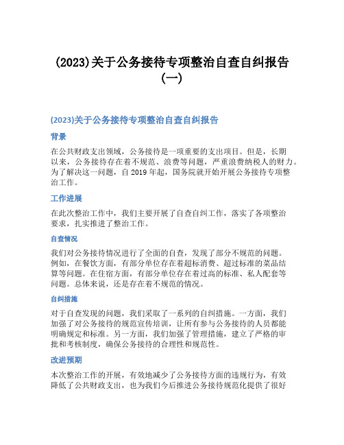 (2023)关于公务接待专项整治自查自纠报告(一)