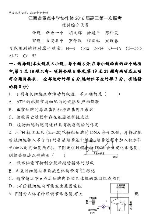 江西省重点中学协作体2016届高三下学期第一次联考理综试题 含答案