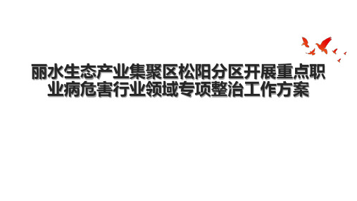 丽水生态产业集聚区松阳分区开展重点职业病危害行业领域专项整治工作方案