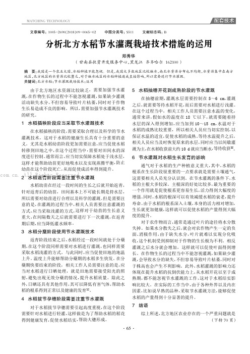 分析北方水稻节水灌溉栽培技术措施的运用