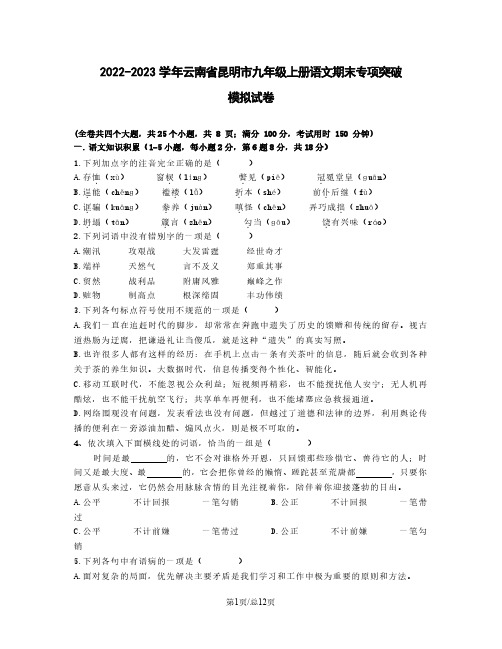 2022-2023学年云南省昆明市九年级上册语文期末专项突破模拟试卷(含解析)