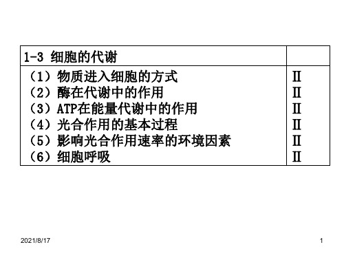 《细胞的代谢》PPT课件