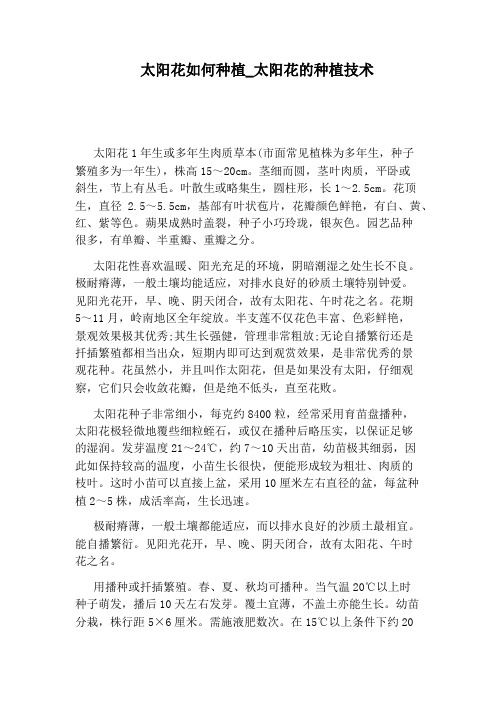 太阳花的种植技术