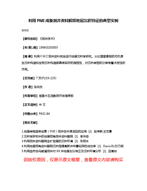 利用FMI成象测井资料解释地层沉积特征的典型实例