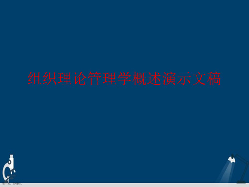 组织理论管理学概述演示文稿