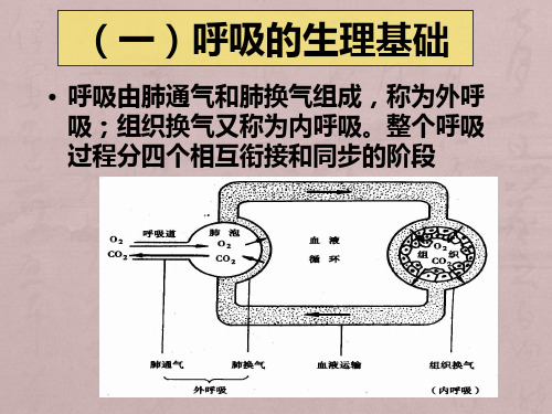 呼吸功能训练及排痰技术