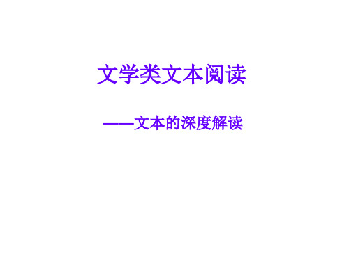 高考语文二轮复习文学类文本阅读-深度解读课件16张