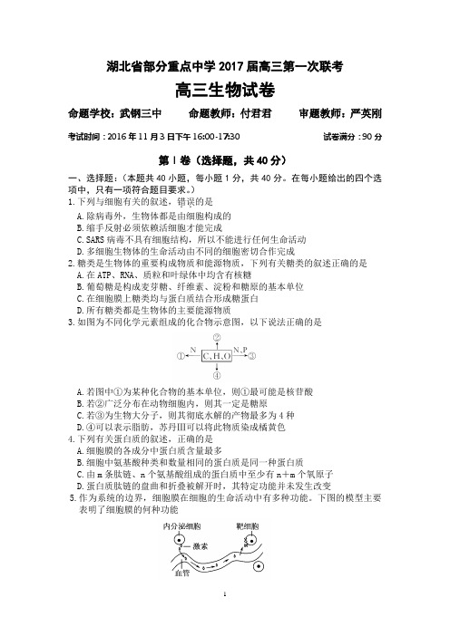 湖北省部分重点中学2017届高三第一次联考生物试卷