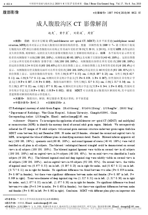 成人腹股沟区CT影像解剖