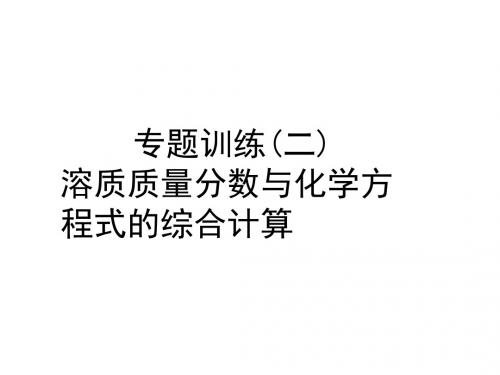 2019届人教版九年级化学下册课件：第9单元 专题训练(二) 溶质质量分数与化学方程式的综合计算(共10张PPT)