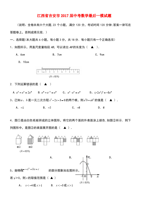 江西省吉安市中考数学最后一模试题