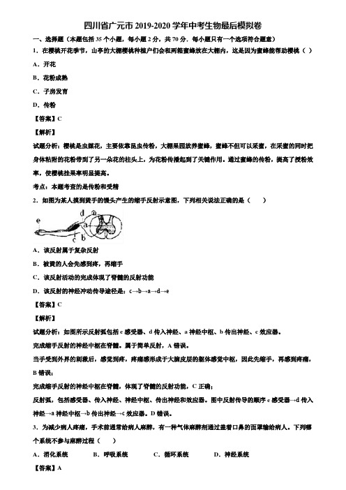 四川省广元市2019-2020学年中考生物最后模拟卷含解析