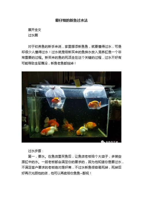 最仔细的新鱼过水法