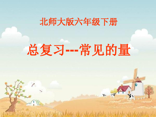 新北师大版六年级数学下册《复习 常见的量》课件_18