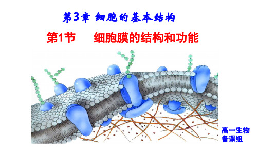 新教材3.1细胞膜的结构和功能