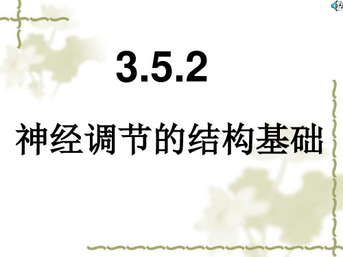 初中生物济南版七年级下册第三单元5.2神经调节的结构基础课件(共22张PPT)