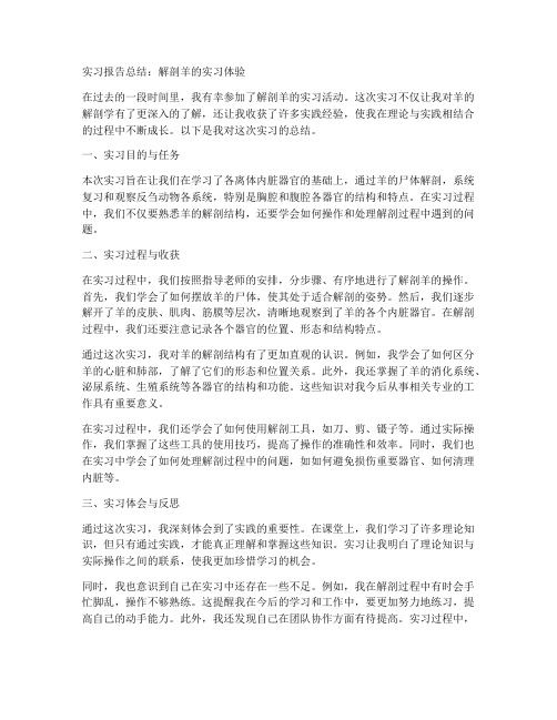 解刨羊的实习报告总结