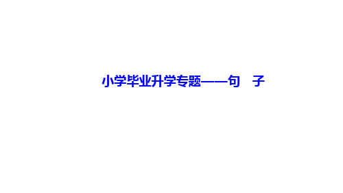 六年级下册小升初二轮复习专题句子部编版PPT