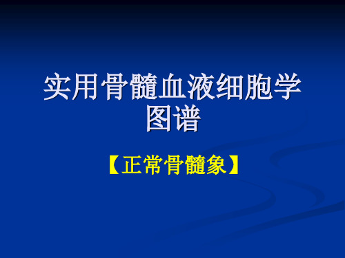 1骨髓血液细胞诊断图谱【正常骨髓象】112