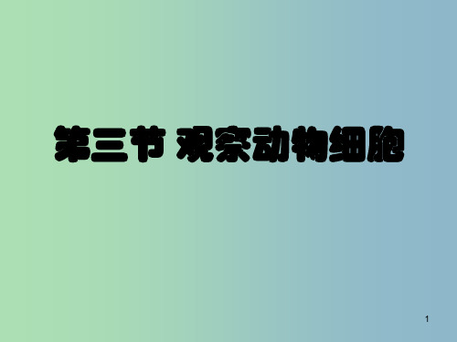 七年级生物上册 2.1.3 动物细胞课件 新人教版PPT