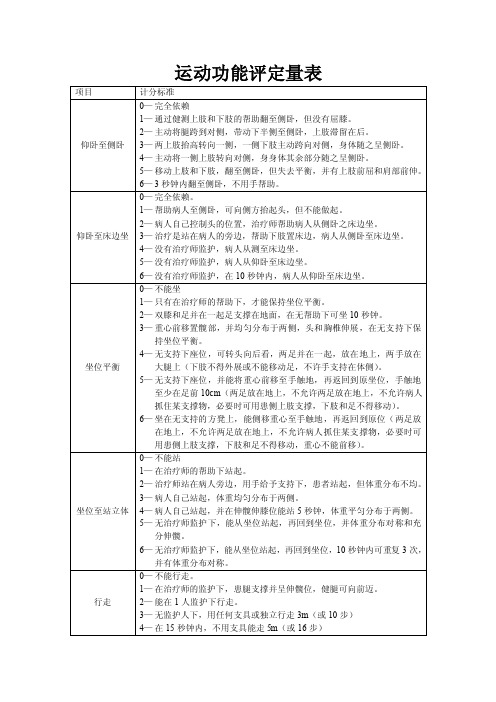 运动功能评定量表