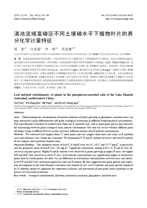 滇池流域富磷区不同土壤磷水平下植物叶片的养分化学计量特征