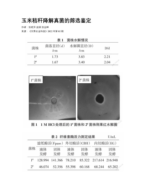 玉米秸秆降解真菌的筛选鉴定