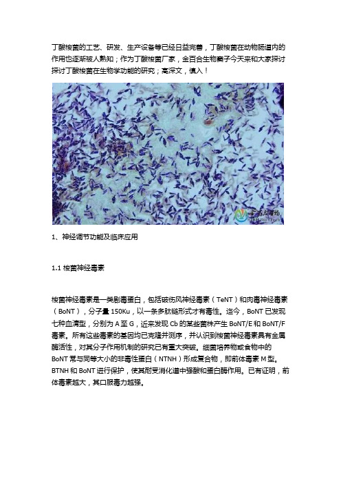 丁酸梭菌的生物学功能研究