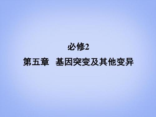 高考生物 第5章 第1节 基因突变和基因重组课件