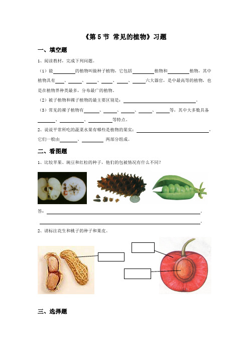 浙教版七年级科学上册 2.5《常见的植物》习题1