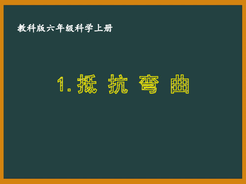 教科版六年级科学上册第二单元《形状与结构》全部集体课件(共8课)