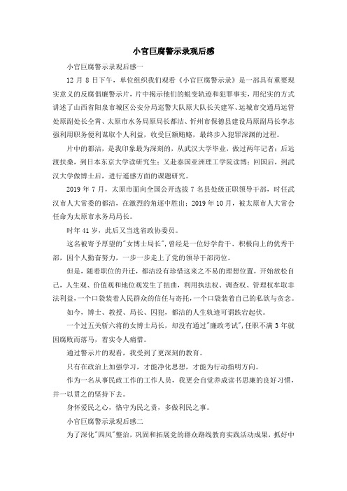 心得体会-小官巨腐警示录观后感 精品