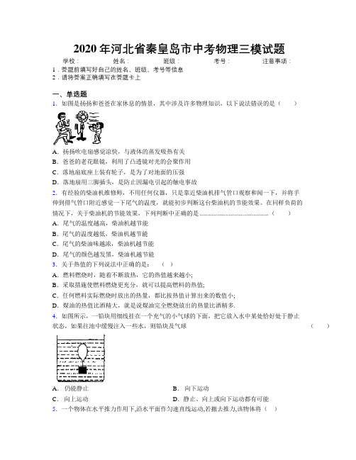 2020年河北省秦皇岛市中考物理三模试题附解析