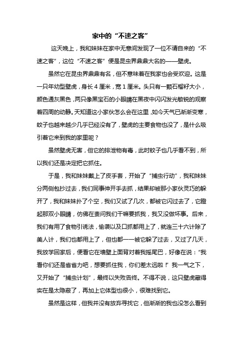 五年级作文：家中的“不速之客”作文600字