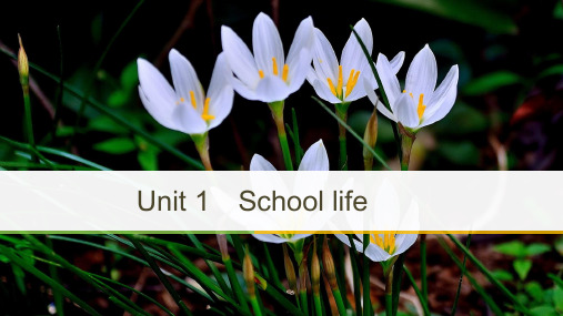 2018-2019高中英语新学案同步必修一译林江苏专用版课件：Unit1PeriodTwo