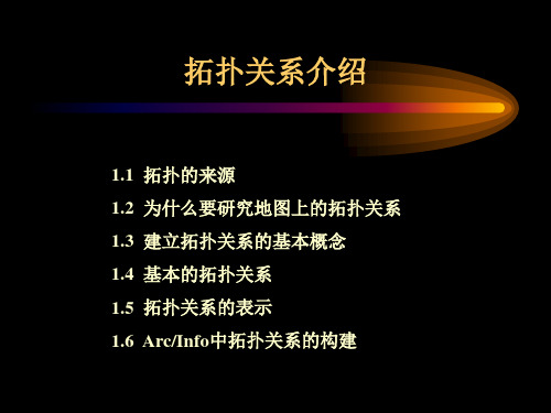 图形拓扑关系的构建.ppt