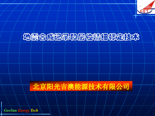 Landmark地震合成记录和层位精细标定技术